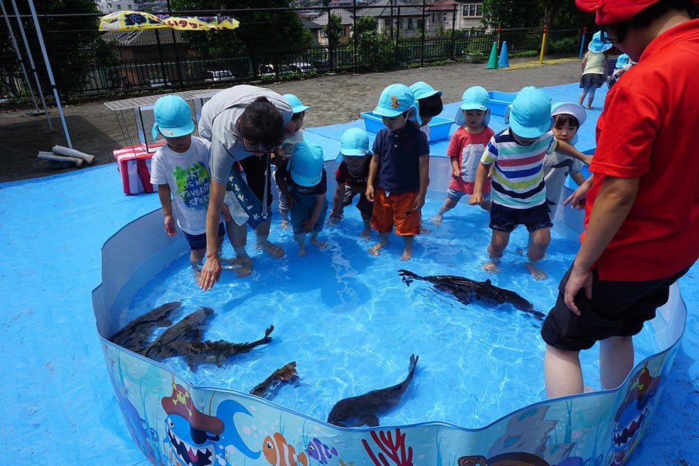 1日水族館