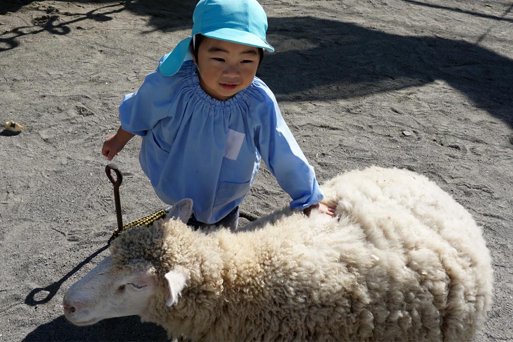 動物村